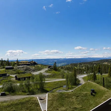Danebu Med Panoramautsikt Og Hoy Standard Aurdal