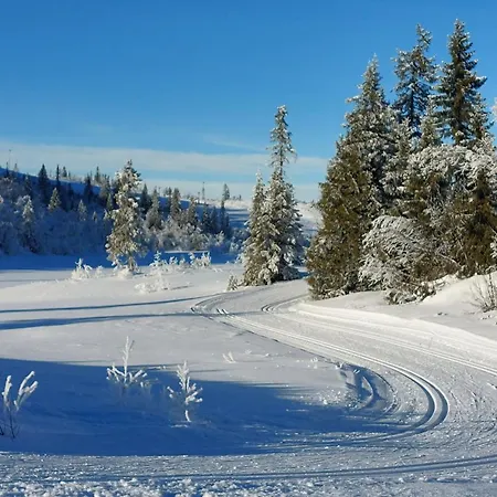 Danebu Med Panoramautsikt Og Hoy Standard
