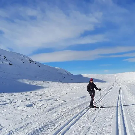 Danebu Med Panoramautsikt Og Hoy Standard Aurdal