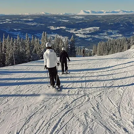 Danebu Med Panoramautsikt Og Hoy Standard