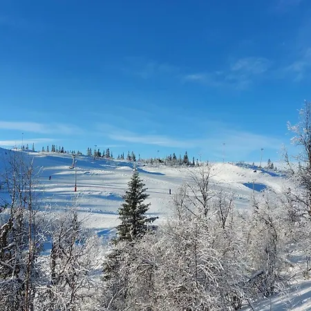 Apartment Danebu Med Panoramautsikt Og Hoy Standard Aurdal